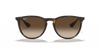 [Brown Lenses, Matte Havana Frame]