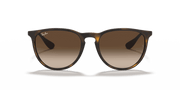 Brown Lenses, Matte Havana Frame