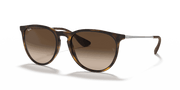 Brown Lenses, Matte Havana Frame