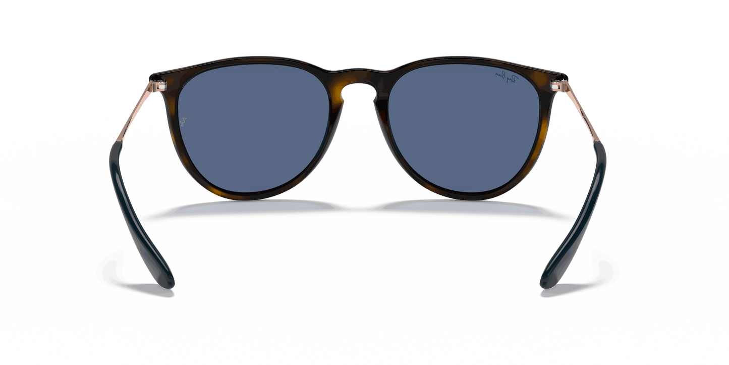 [Blue Lenses, Polished Havana Frame]