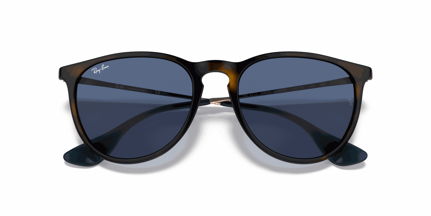 [Blue Lenses, Polished Havana Frame]