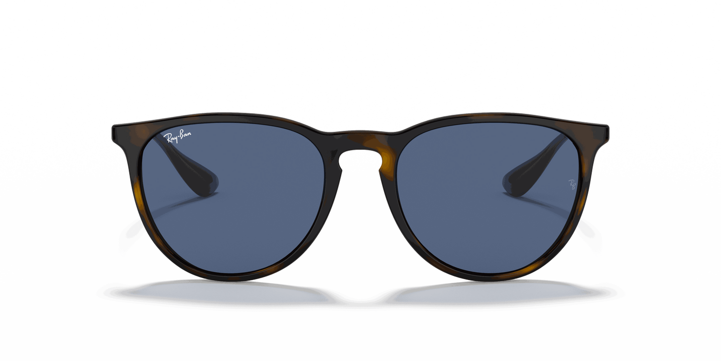 [Blue Lenses, Polished Havana Frame]