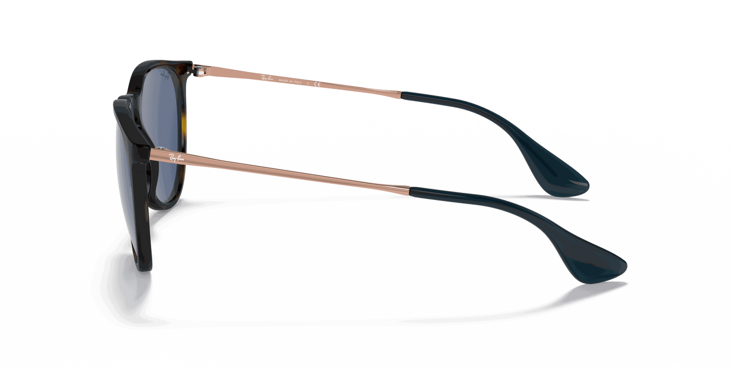 [Blue Lenses, Polished Havana Frame]