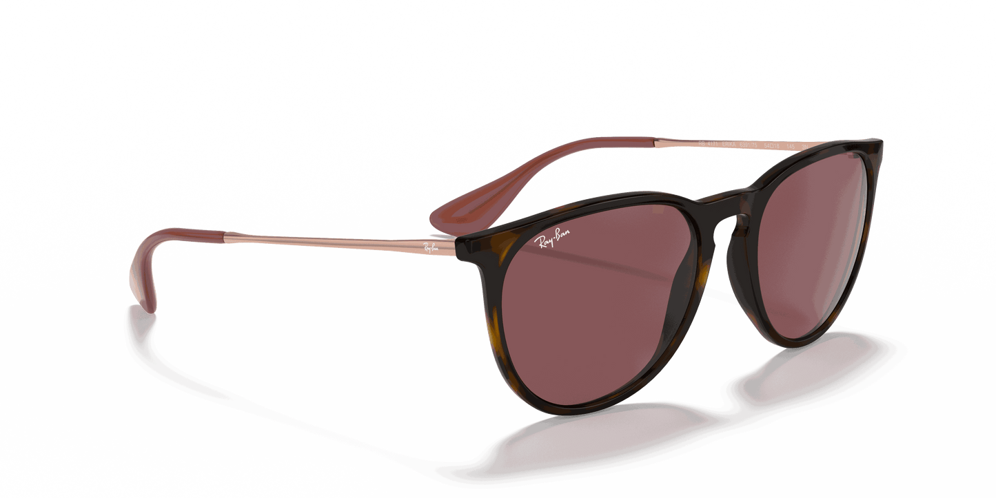 [Dark Violet Lenses, Polished Havana Frame]