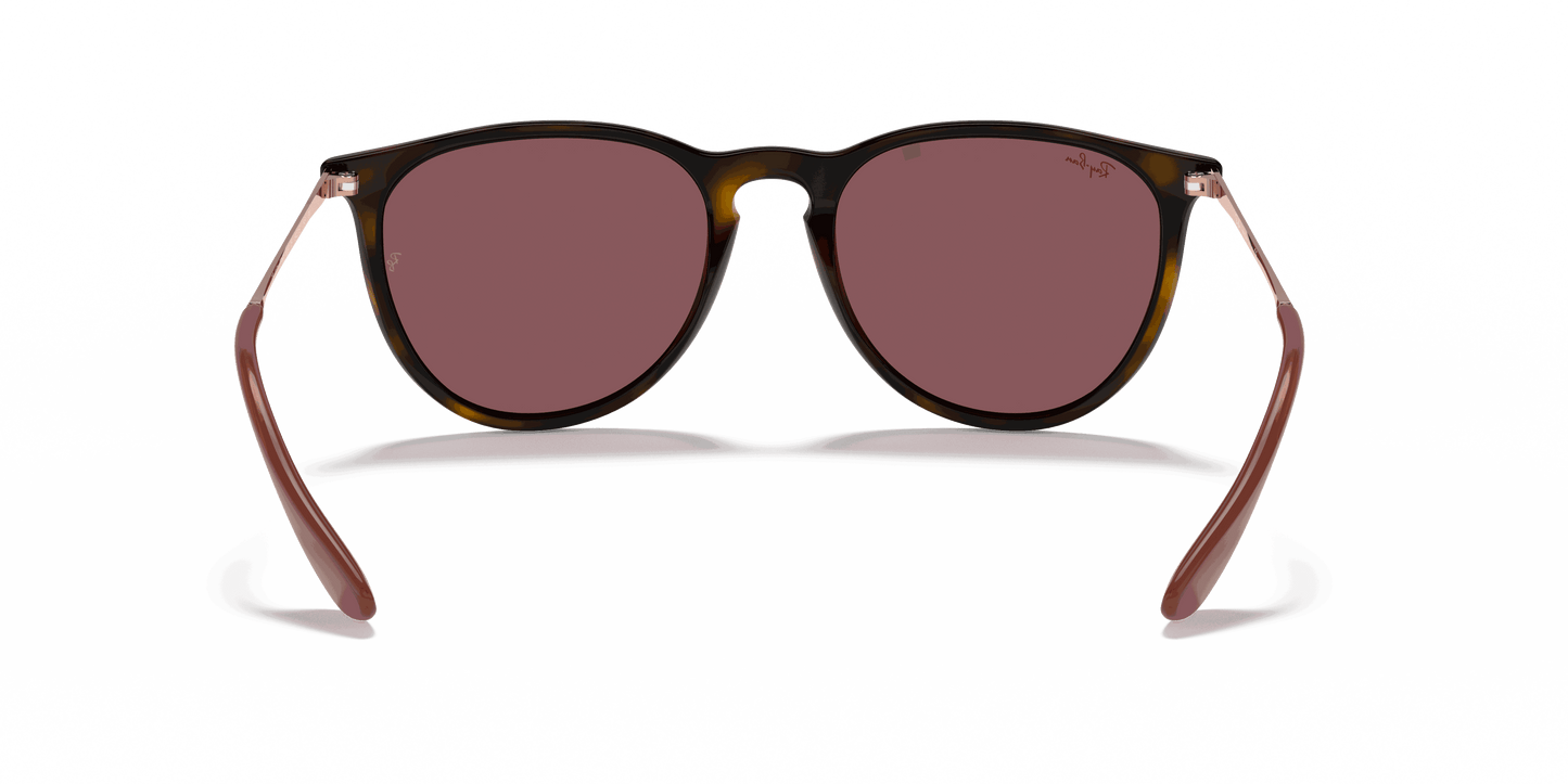 [Dark Violet Lenses, Polished Havana Frame]