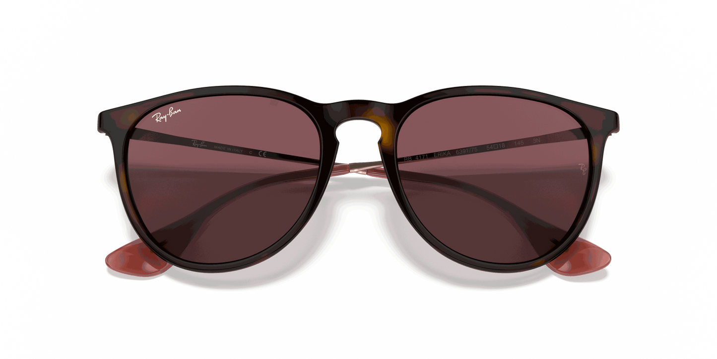 [Dark Violet Lenses, Polished Havana Frame]