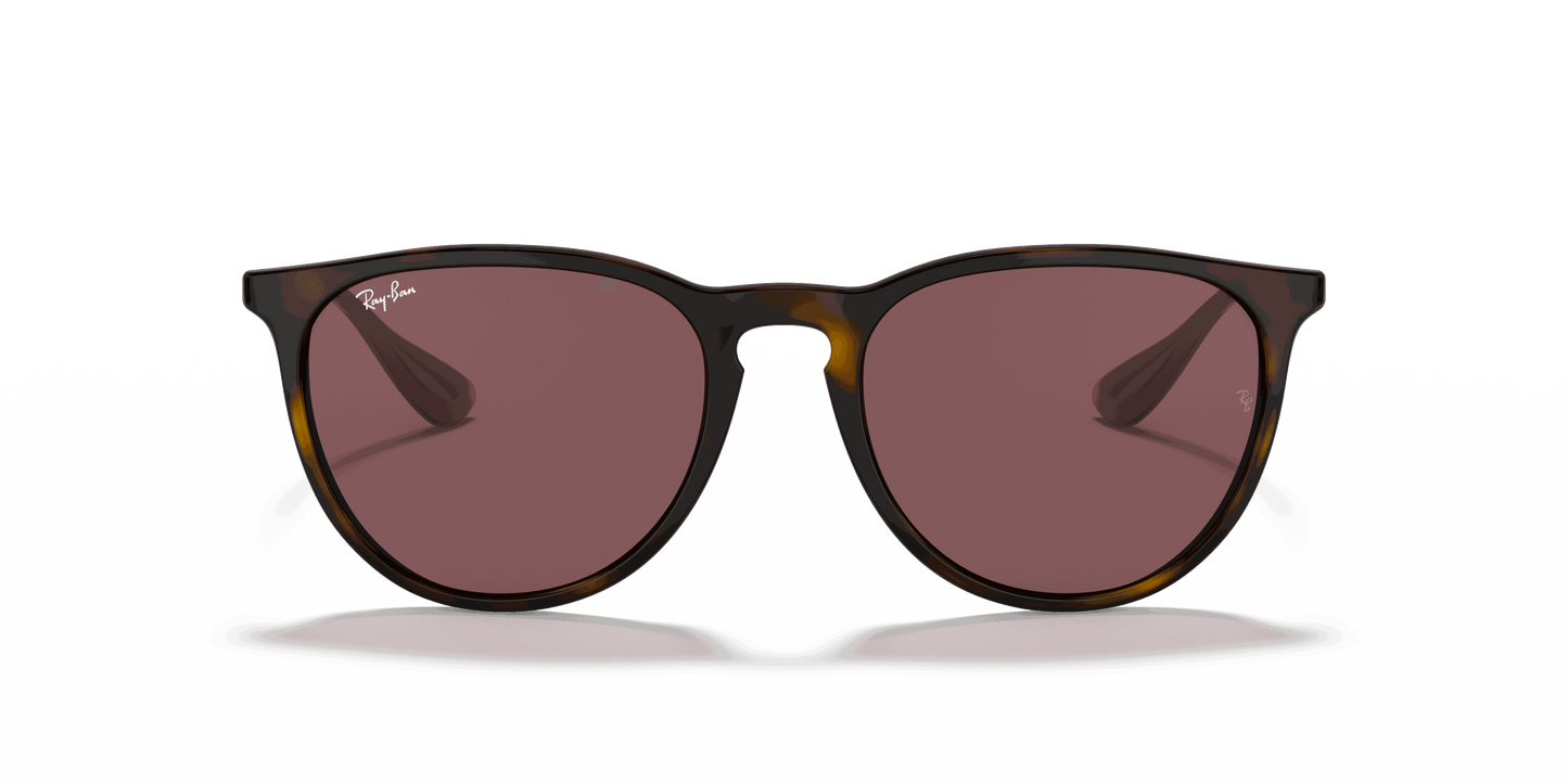 [Dark Violet Lenses, Polished Havana Frame]