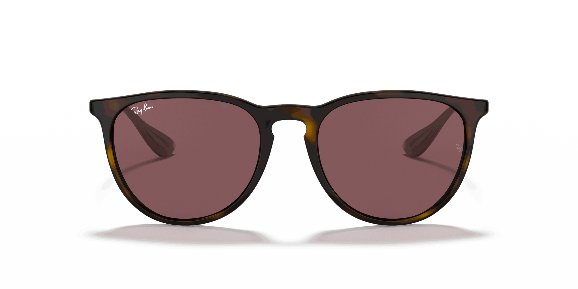 [Dark Violet Lenses, Polished Havana Frame]