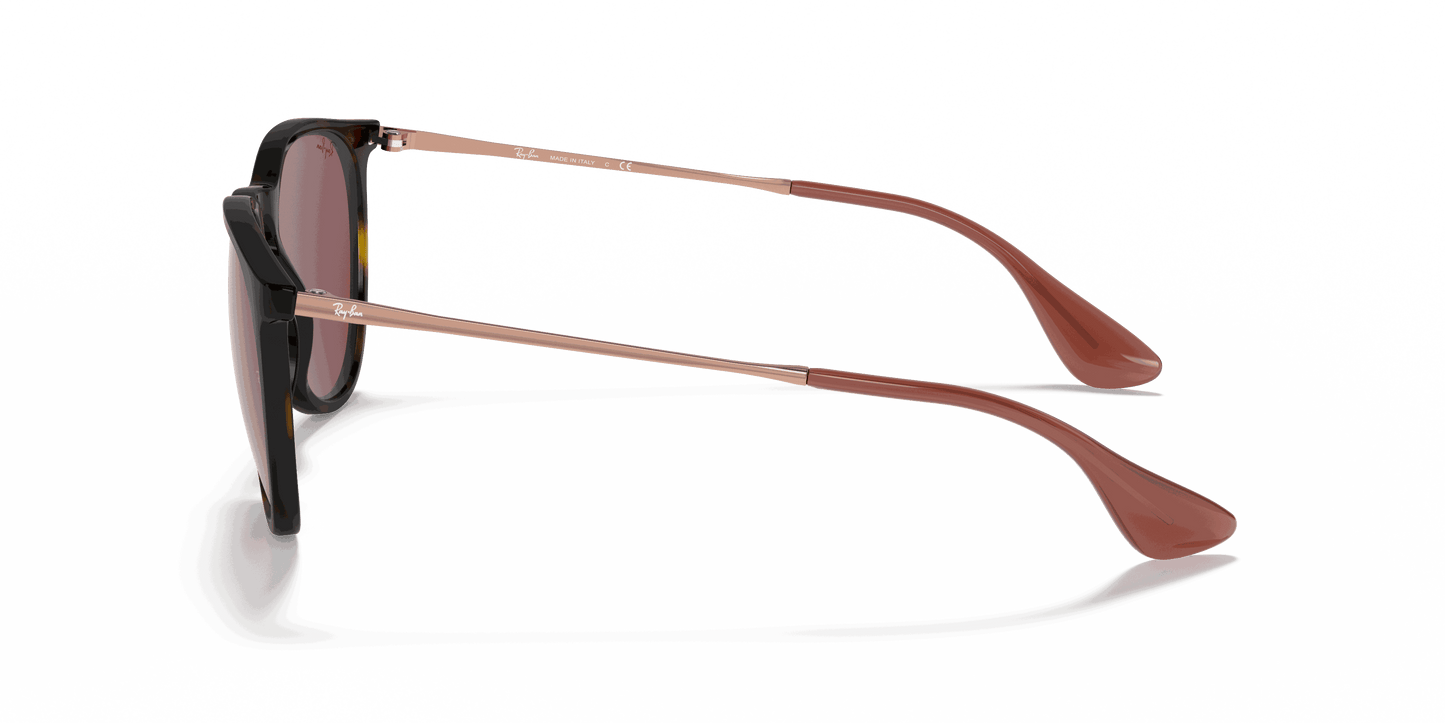 [Dark Violet Lenses, Polished Havana Frame]