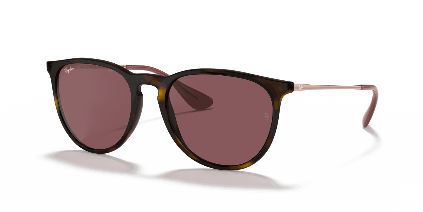 [Dark Violet Lenses, Polished Havana Frame]