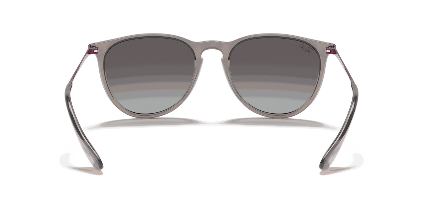 [Light Grey Gradient Dark Grey Lenses, Polished Transparent Grey Frame]