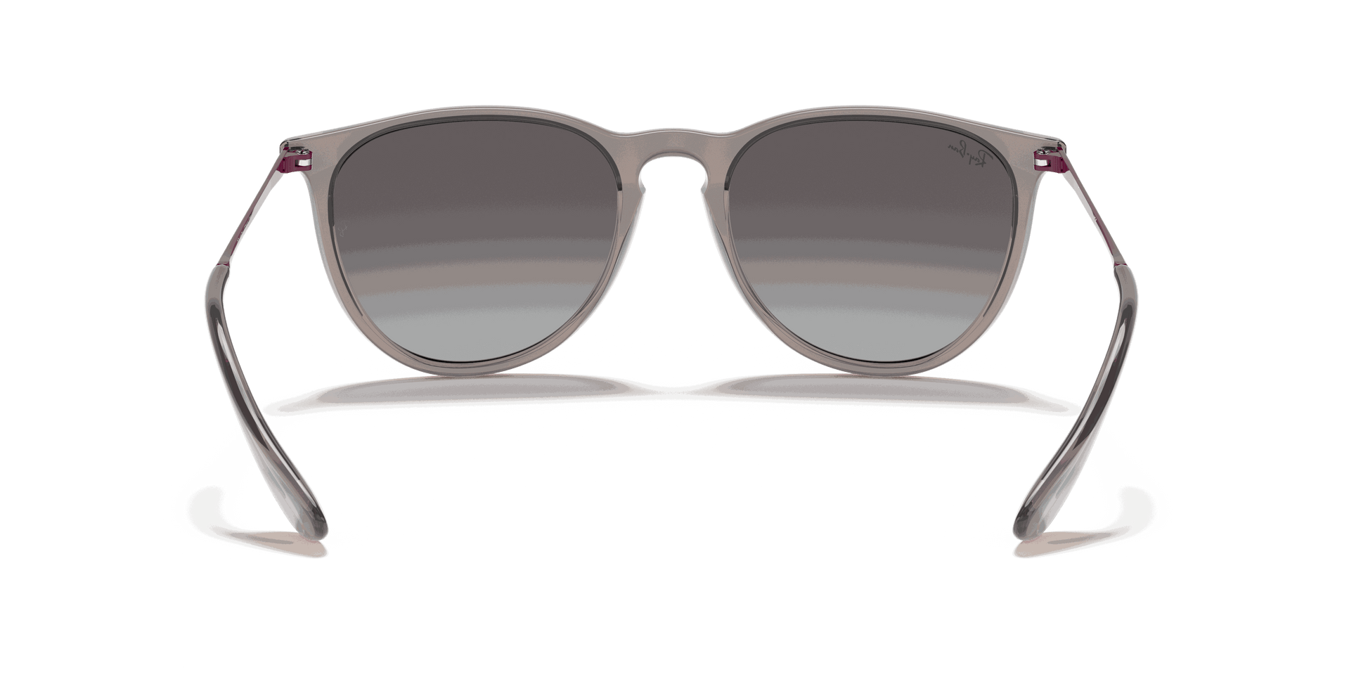 [Light Grey Gradient Dark Grey Lenses, Polished Transparent Grey Frame]