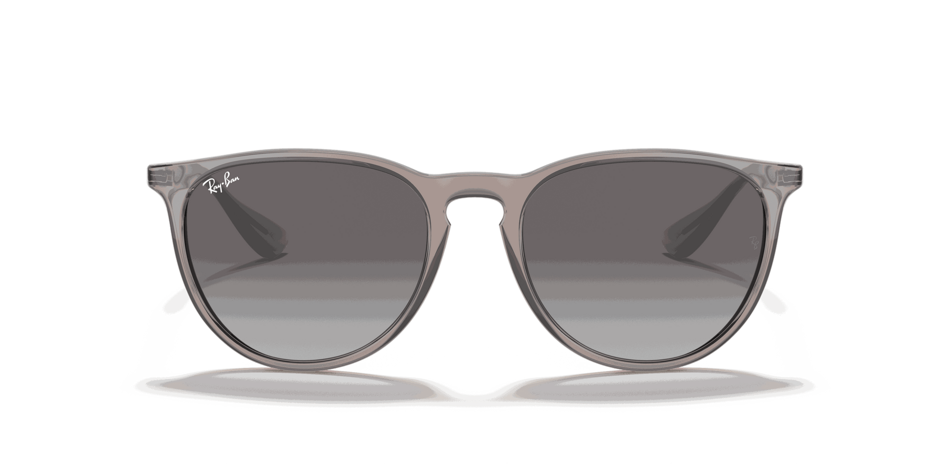 [Light Grey Gradient Dark Grey Lenses, Polished Transparent Grey Frame]
