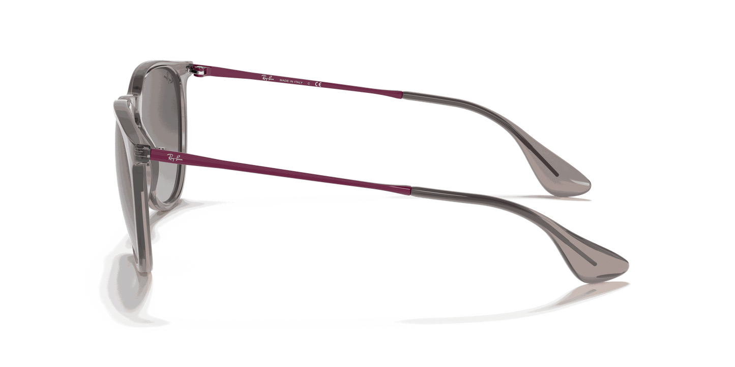 [Light Grey Gradient Dark Grey Lenses, Polished Transparent Grey Frame]