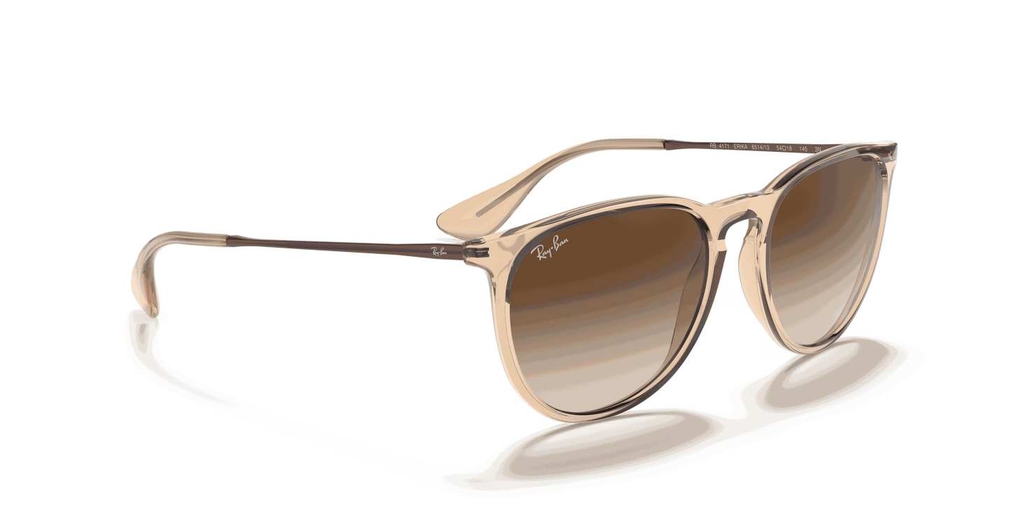 [Brown Gradient Lenses, Polished Transparent Brown Frame]