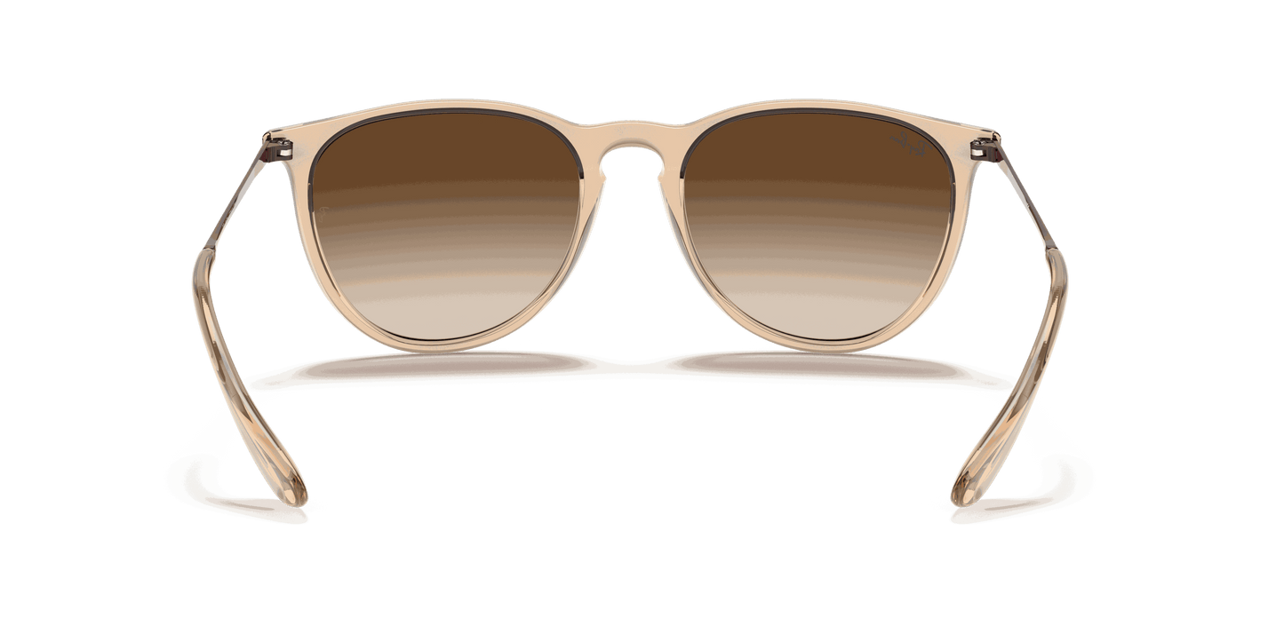[Brown Gradient Lenses, Polished Transparent Brown Frame]