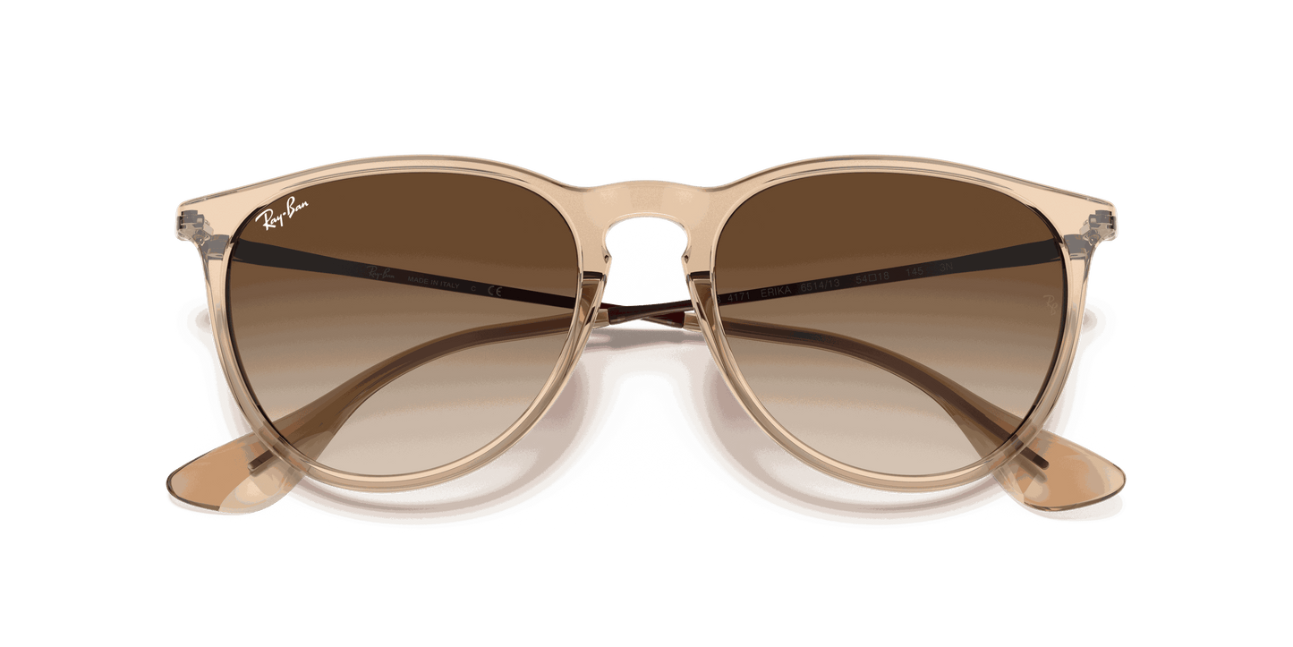[Brown Gradient Lenses, Polished Transparent Brown Frame]