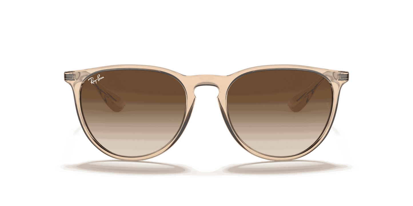 [Brown Gradient Lenses, Polished Transparent Brown Frame]