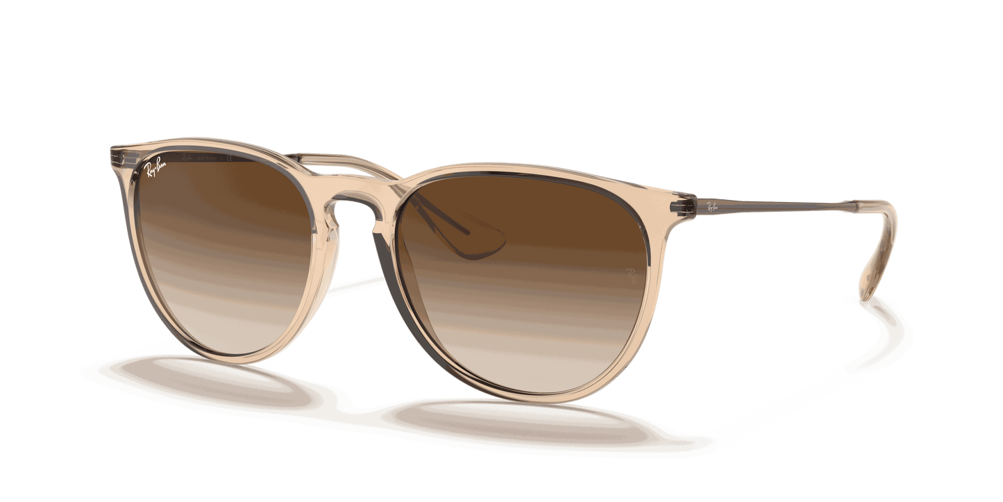 [Brown Gradient Lenses, Polished Transparent Brown Frame]