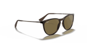 Brown Lenses, Matte Havana Frame