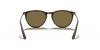 [Brown Lenses, Matte Havana Frame]