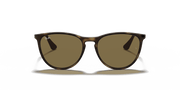 Brown Lenses, Matte Havana Frame