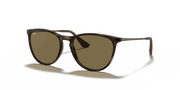 Brown Lenses, Matte Havana Frame