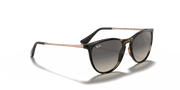 Grey Lenses, Polished Havana Frame