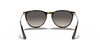 [Grey Lenses, Polished Havana Frame]