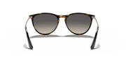 Grey Lenses, Polished Havana Frame