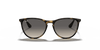 [Grey Lenses, Polished Havana Frame]