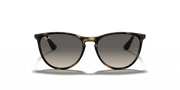 Grey Lenses, Polished Havana Frame