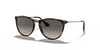 [Grey Lenses, Polished Havana Frame]