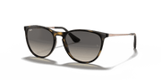 Grey Lenses, Polished Havana Frame