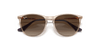 [Gradient Brown Lenses, Polished Transparent Light Brown Frame]