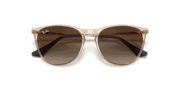 Gradient Brown Lenses, Polished Transparent Light Brown Frame