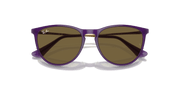 Dark Brown Lenses, Polished Opal Violet Frame