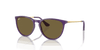 [Dark Brown Lenses, Polished Opal Violet Frame]