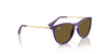 [Dark Brown Lenses, Polished Rubber Violet Frame]