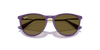 [Dark Brown Lenses, Polished Rubber Violet Frame]