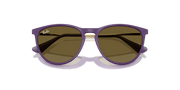 Dark Brown Lenses, Polished Rubber Violet Frame