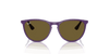 [Dark Brown Lenses, Polished Rubber Violet Frame]