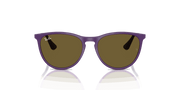 Dark Brown Lenses, Polished Rubber Violet Frame