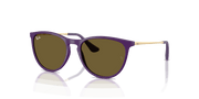 Dark Brown Lenses, Polished Rubber Violet Frame