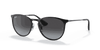 [Light Grey Gradient Dark Grey Lenses, Polished Black Frame]