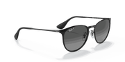 Grey Lenses, Polished Black Frame