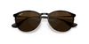 [Evolve Photo Brown To Dark Brown Lenses, Polished Black Frame]