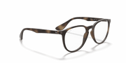 Clear Lenses, Matte Havana Frame