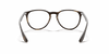 [Clear Lenses, Matte Havana Frame]