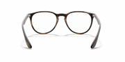 Clear Lenses, Matte Havana Frame